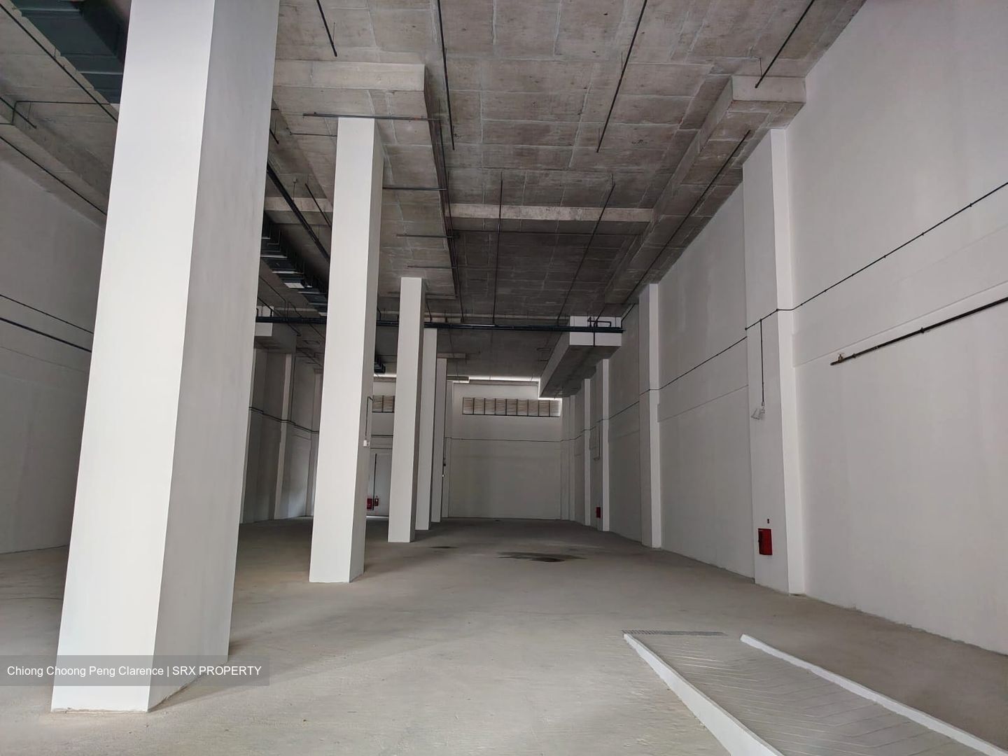 FOOD ASCENT (D22), Warehouse #522886551